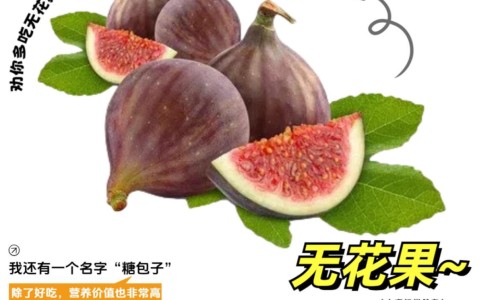 意拳站桩正确的姿势-意拳站桩的功效和作用、意拳站桩功的弊端 -意拳站桩的功效网